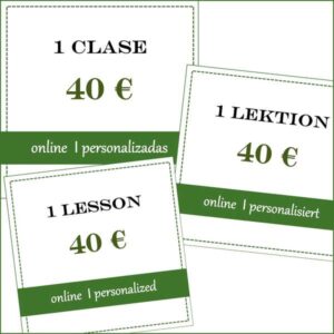 Clase individual - 1 Lektion Einzelunterricht - 1 one-on-one lesson