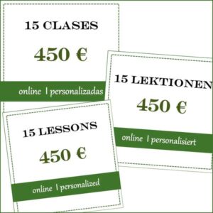 15 clases individuales - 15 Lektionen Einzelunterricht - 15 one-on-one lessons