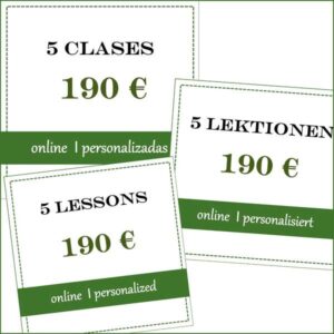 5 clases individuales - 5 Lektionen Einzelunterricht - 5 one-on-one lessons