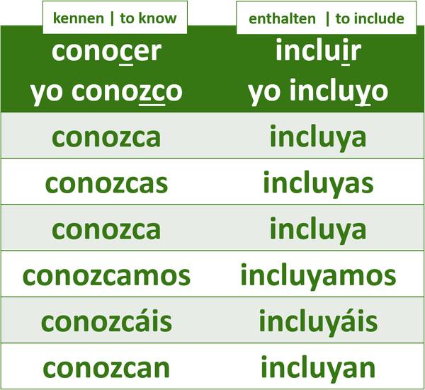 Conjugación de los verbos parcialmente irregulares del presente de subjuntivo con cambios vocálicos y consonánticos